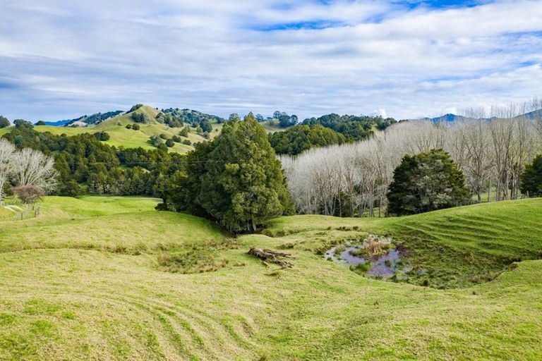 Photo of property in 1891 Pipiwai Road, Purua, Whangarei, 0176