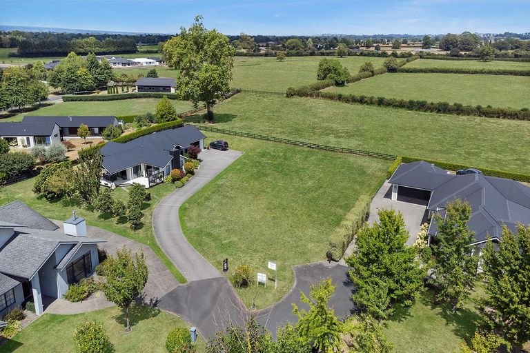Photo of property in 7 Danehill Close, Matamata, 3400