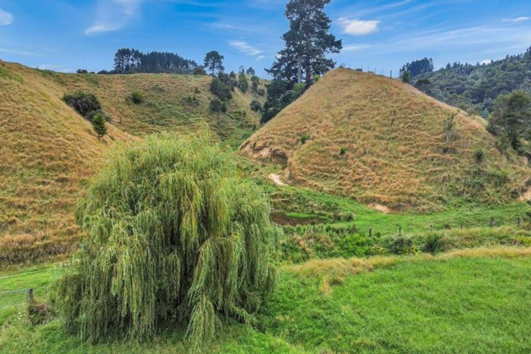 Photo of property in 791b White Pine Bush Road, White Pine Bush, Whakatane, 3191