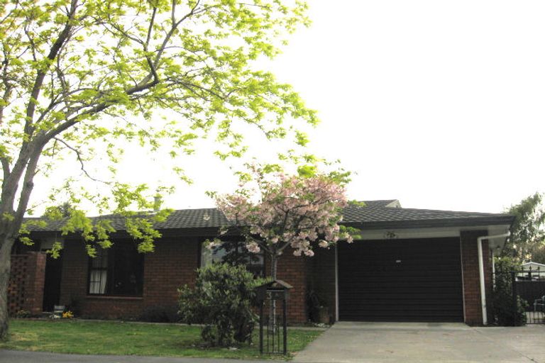 Photo of property in 146 Charles Street, Blenheim, 7201