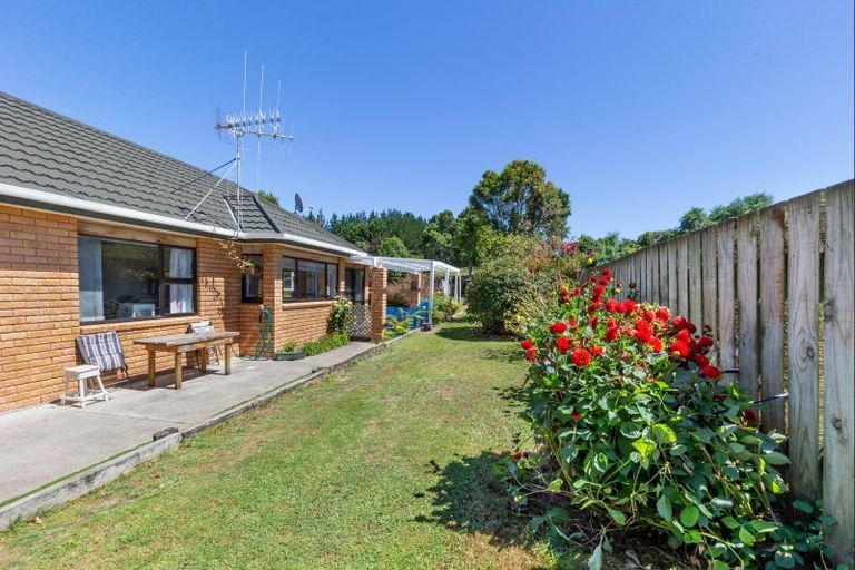 Photo of property in 223 Heatherlea East Road, Levin, 5571