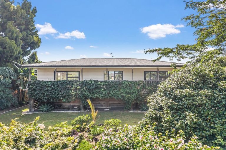 Photo of property in 68b James Street, Whakatane, 3120