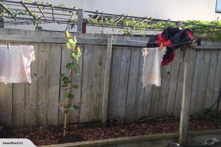 Photo of property in 3/99 Balmoral Road, Mount Eden, Auckland, 1024