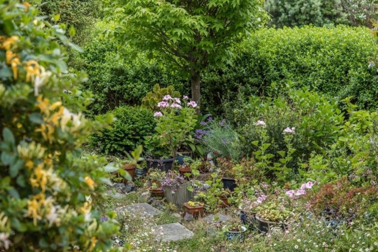 Photo of property in 87 Winara Avenue, Waikanae, 5036