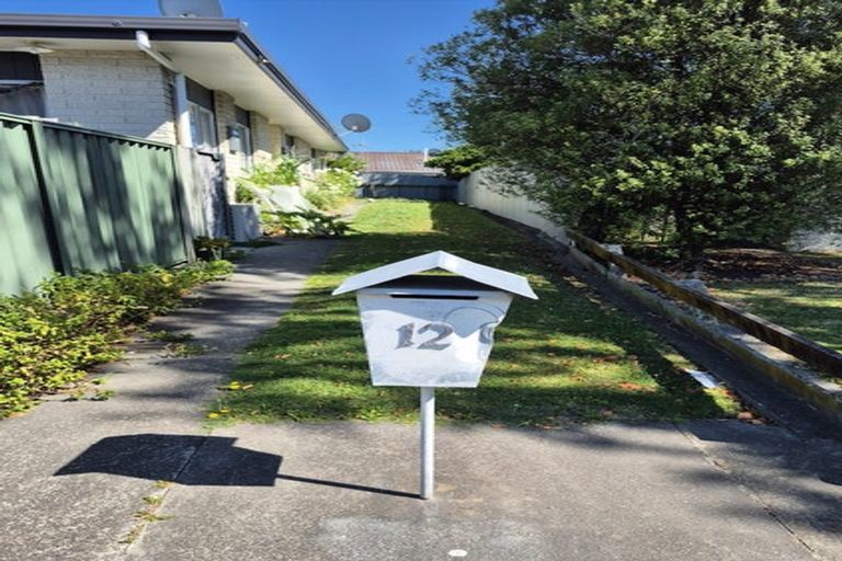 Photo of property in 12 Wynyard Road, Mount Eden, Auckland, 1024