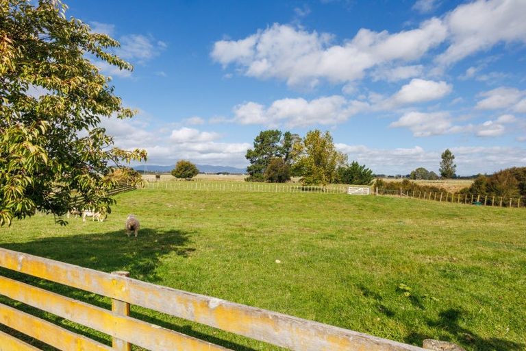 Photo of property in 285 Forlong Road, Colyton, Feilding, 4775