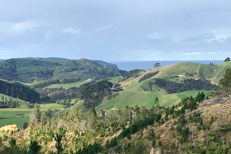 Photo of property in 388 Wentworth Valley Road, Whangamata, 3691