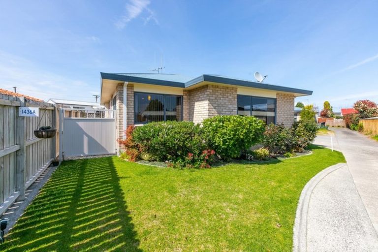 Photo of property in 1436a Cameron Road, Greerton, Tauranga, 3112