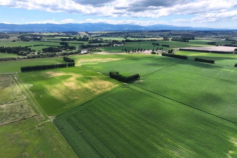 Photo of property in 247 Mahaki Road, Dyerville, Martinborough, 5781