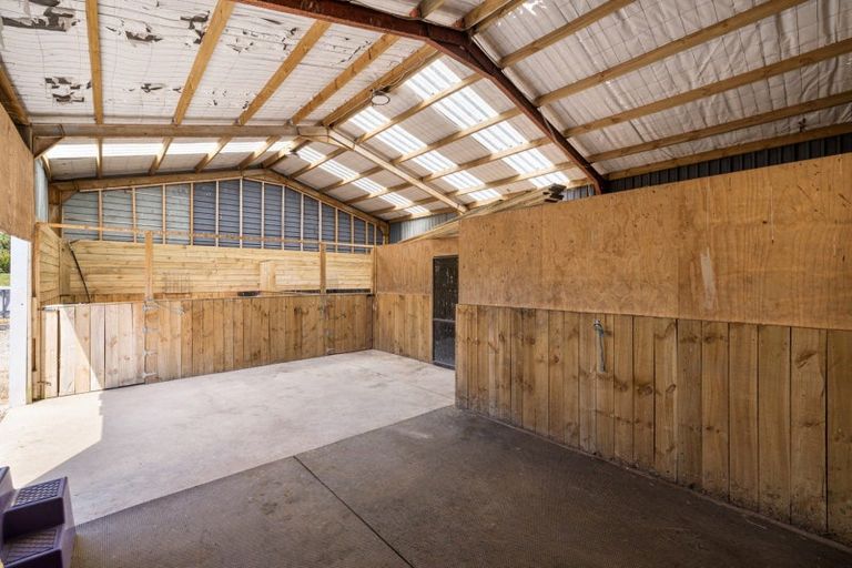 Photo of property in 259 Mcphail Road, Oropi, Tauranga, 3173