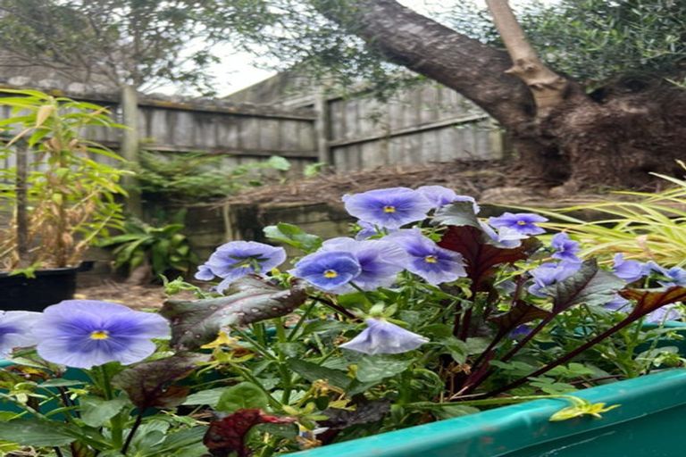 Photo of property in 34 Vinewood Drive, Albany, Auckland, 0632