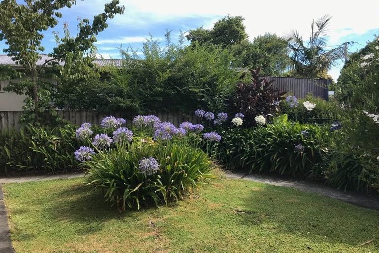 Photo of property in 185 Birkdale Road, Birkdale, Auckland, 0626