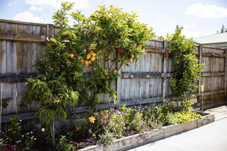 Photo of property in 58b Wilson Road South, Paengaroa, 3189