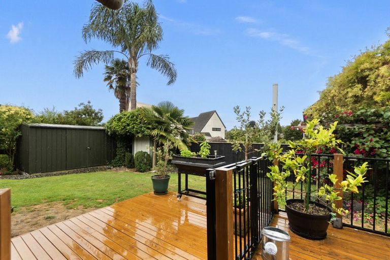 Photo of property in 11 Tiffiney Place, Chartwell, Hamilton, 3210