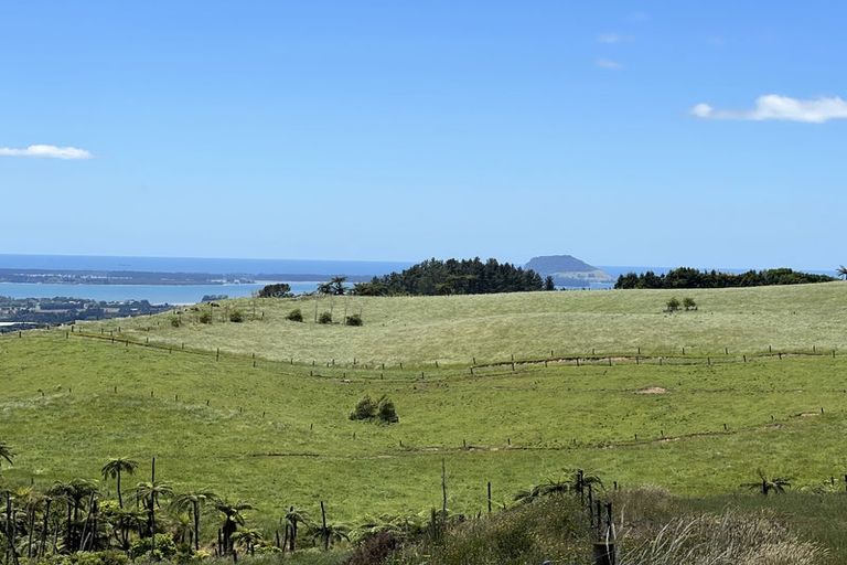 Photo of property in 596 Minden Road, Minden, Tauranga, 3176