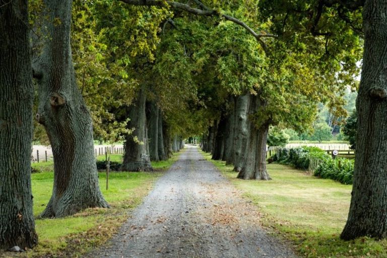 Photo of property in Silverford, 358 Dartmoor Road, Puketapu, Napier, 4186