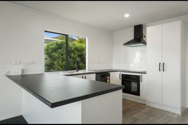 Photo of property in 107 Danby Street, Thames, 3500