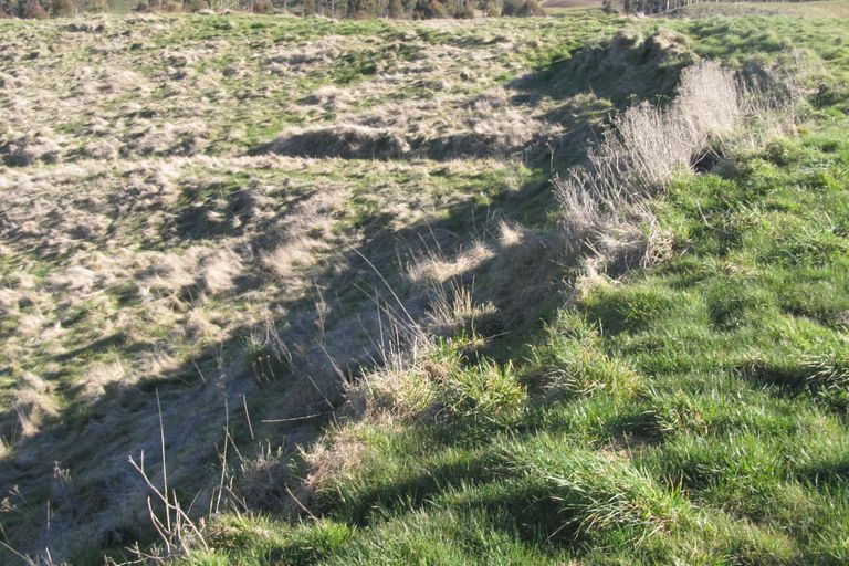 Photo of property in 315 Otake Road, Marotiri, Taupo, 3377