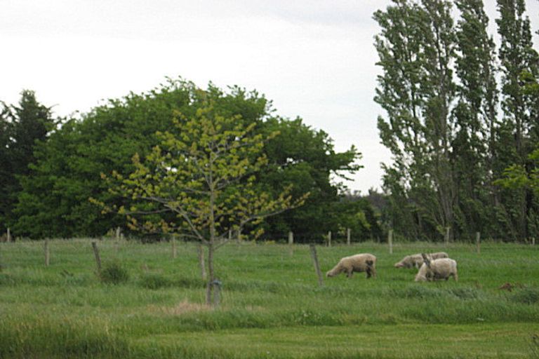 Photo of property in 28 Ashworths Road, Amberley, 7481