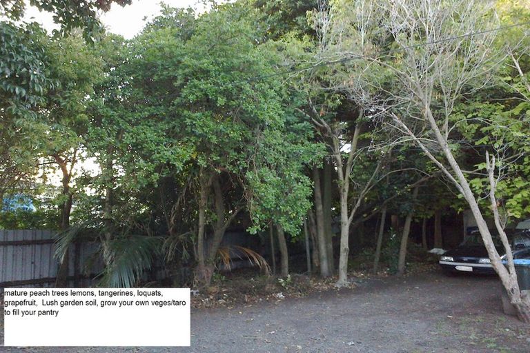 Photo of property in 72 Hall Avenue, Otahuhu, Auckland, 1062