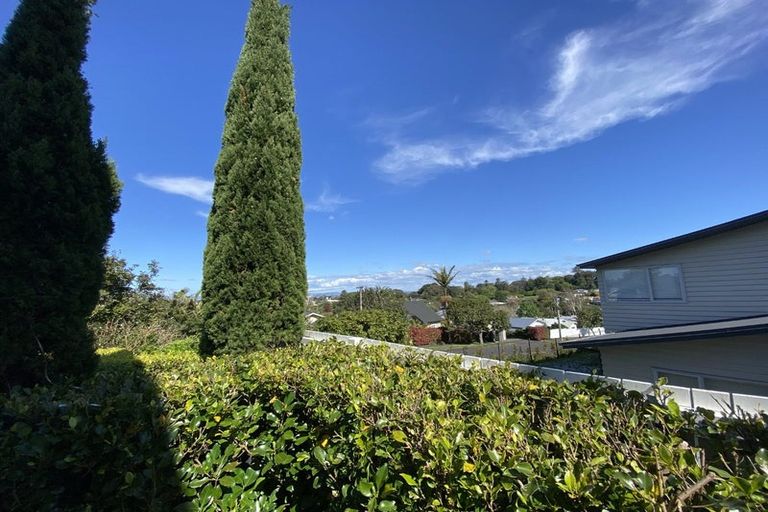 Photo of property in 22 Rowan Road, Epsom, Auckland, 1023