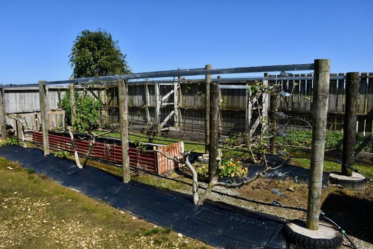 Photo of property in 91a Oparara Road, Karamea, 7893