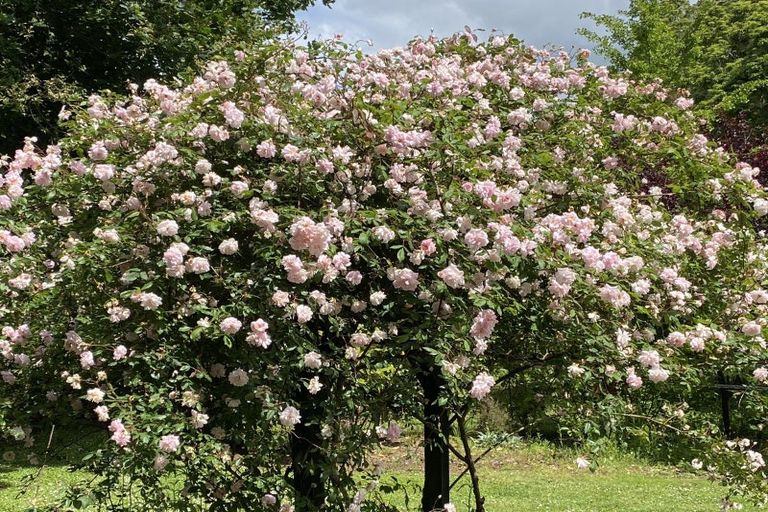 Photo of property in 9 Helland Drive, Bombay, Drury, 2579