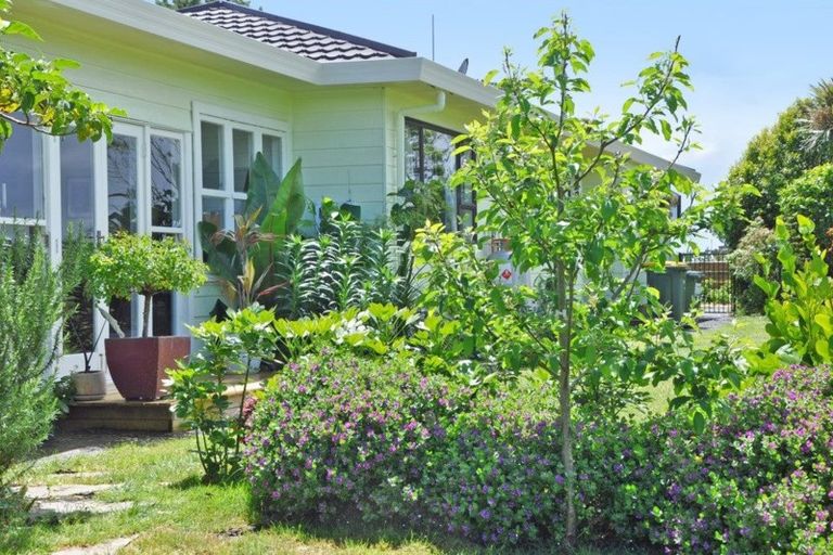 Photo of property in 66 Waiteitei Road, Wellsford, 0974