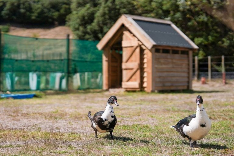Photo of property in 245 Te Hapua Road, Te Horo, Otaki, 5581