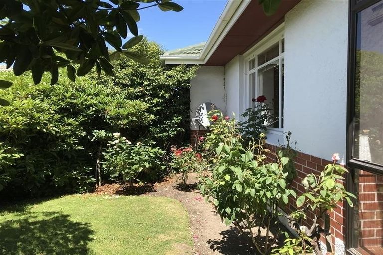 Photo of property in 5 Leven Street, Roslyn, Dunedin, 9010