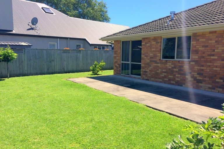 Photo of property in 6 Edwin Grove, Bethlehem, Tauranga, 3110