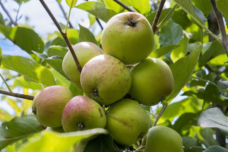 Photo of property in 10 Richmal Street, Waihi, 3610