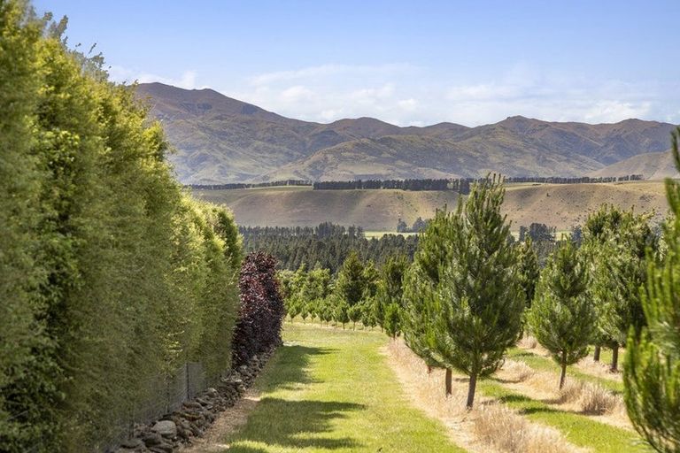 Photo of property in 42d Gladsmuir Road, Queensberry, Cromwell, 9383