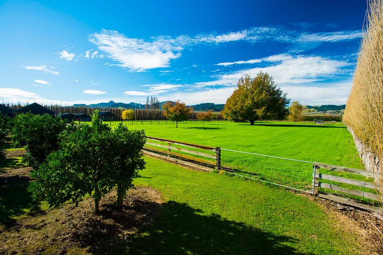 Photo of property in 862 Matawai Road, Ormond, Gisborne, 4071