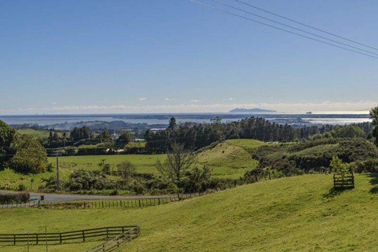 Photo of property in 87 Ross Road, Whakamarama, Tauranga, 3179