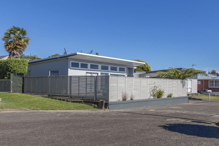 Photo of property in 8 Royal Place, Levin, 5510