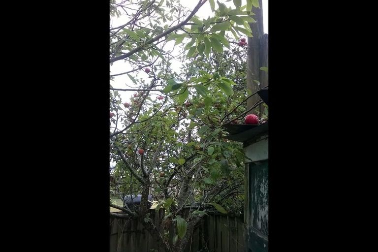 Photo of property in 89 Waipa Esplanade, Ngaruawahia, 3720