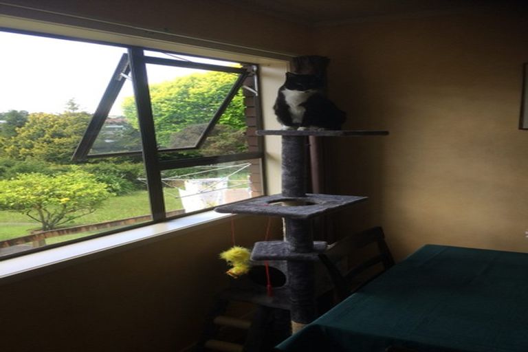 Photo of property in 65a Flynn Road, Hillcrest, Hamilton, 3216