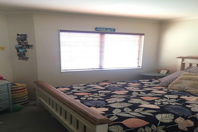 Photo of property in 17a Thomson Avenue, Dinsdale, Hamilton, 3204