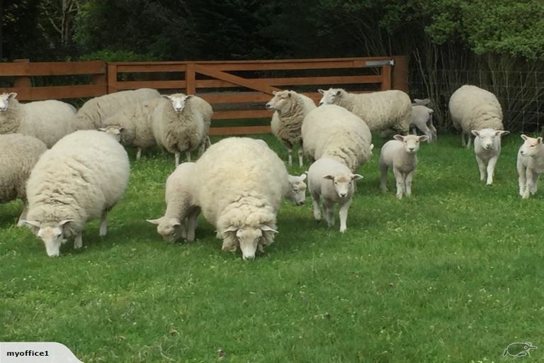 Photo of property in 550 Buchanans Road, Yaldhurst, Christchurch, 7676