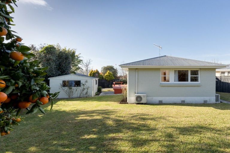 Photo of property in 127 Boucher Avenue, Te Puke, 3119
