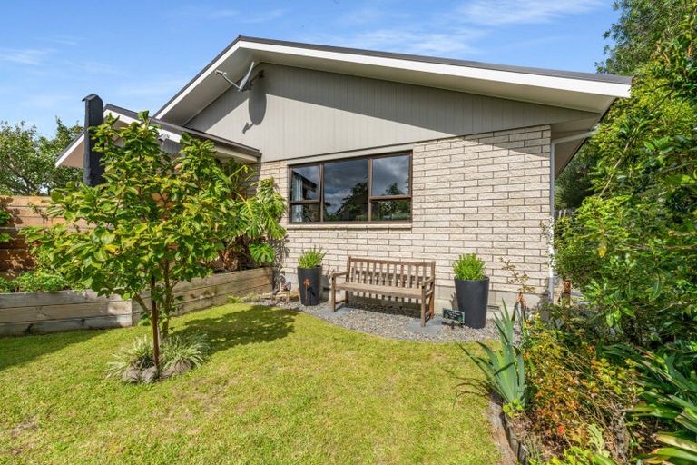 Photo of property in 102 Mark Street, Whangamata, 3620