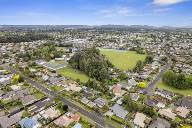 Photo of property in 19 Bailey Avenue, Claudelands, Hamilton, 3214