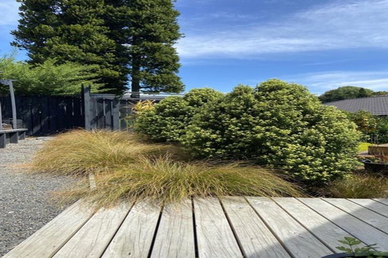 Photo of property in 17 Awaiti Place, Hairini, Tauranga, 3112