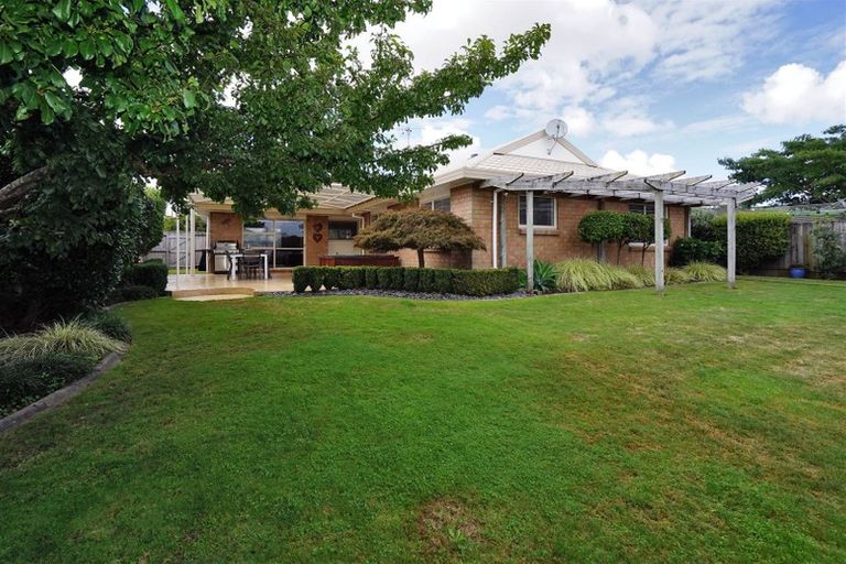 Photo of property in 36 Macmurdo Avenue, Glenview, Hamilton, 3206