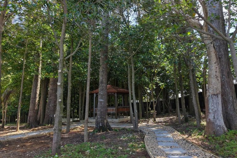 Photo of property in 5 Spudman Rise, Pukekohe, 2120