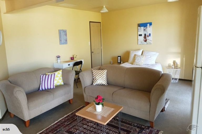 Photo of property in 4 Cannell Farm Drive, Te Puke, 3119