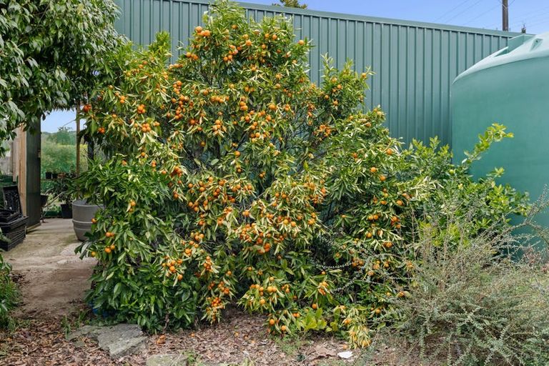 Photo of property in 459 Muhunoa Road East, Muhunoa East, Levin, 5570