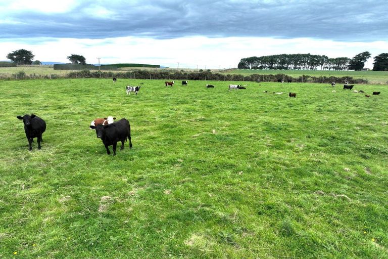 Photo of property in 170 Taramoa Road, Argyle Corner, Invercargill, 9874