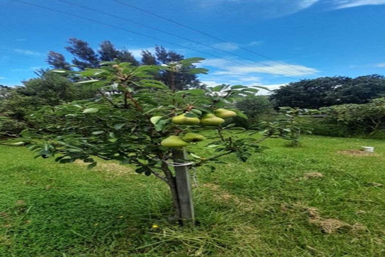 Photo of property in 31 Powells Road, Cable Bay, 0420